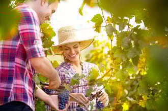 5_Benefits_of_Bringing_in_Temp_Workers_for_Seasonal_Positions.jpg
