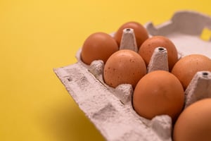 Come_to_Our_Job_Fair_for_Global_Egg_Tomorrow