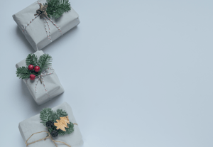 Join_Us_for_Our_Holiday_Open_House_in_Guelph_on_December_20