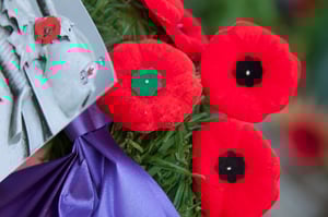 Thank-You-to-Our-Canadian-Veterans-on-Remembrance-Day