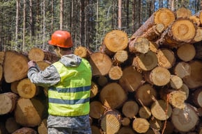 We-Have-Lumber-Yard-Clean-Up-Jobs-Available-in-Guelph-Ontario