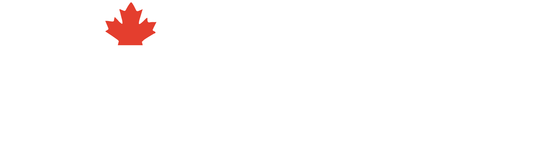 Liberty Staffing